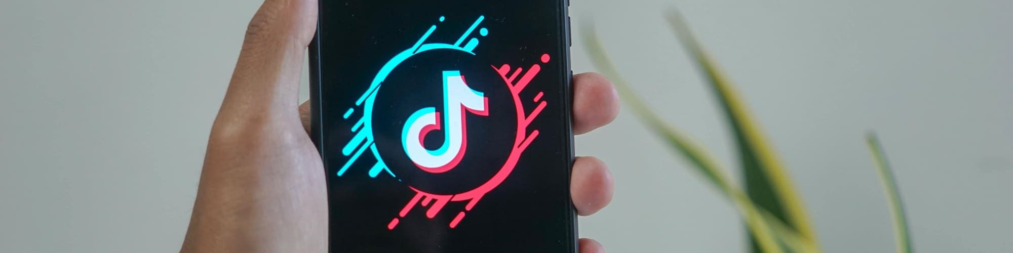 tik tok compte entreprise